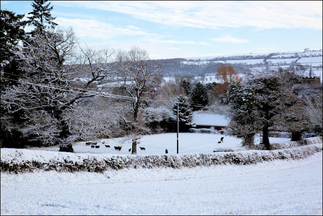 [snow]