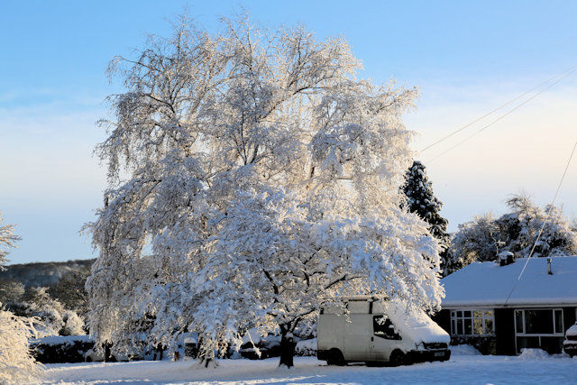[snow]
